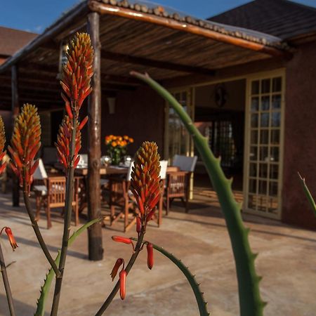 Kili Villa Kilimanjaro Luxury Retreat Arusha Phòng bức ảnh