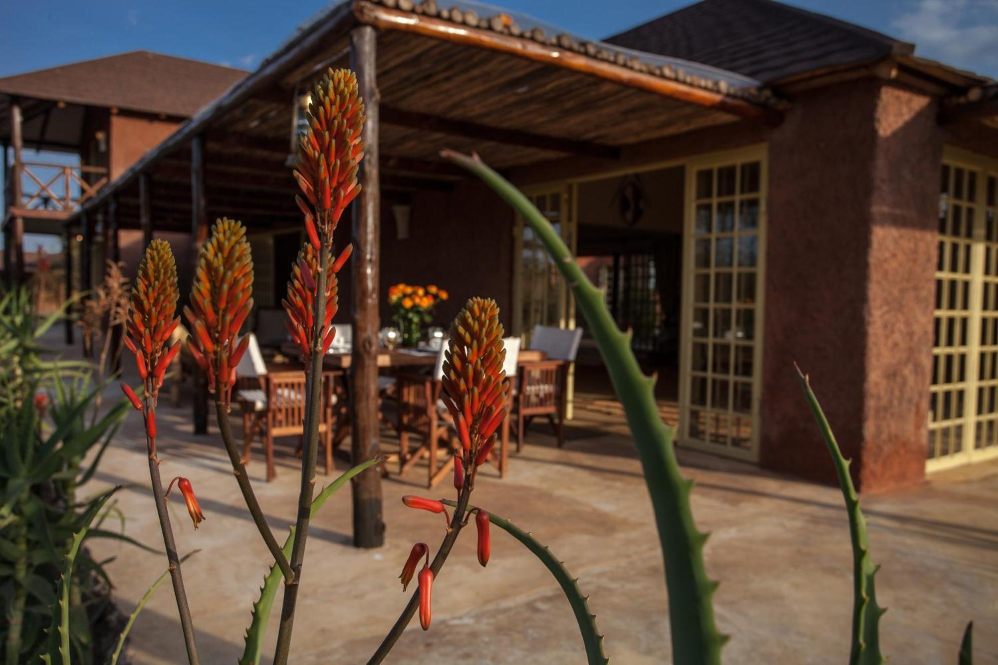 Kili Villa Kilimanjaro Luxury Retreat Arusha Phòng bức ảnh