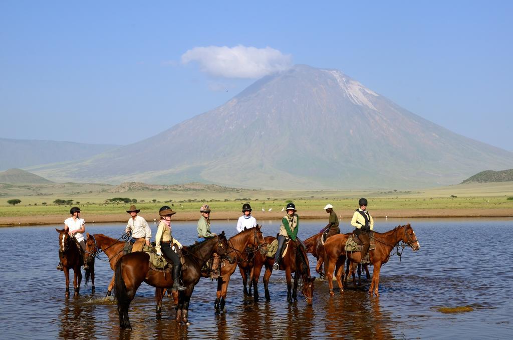 Kili Villa Kilimanjaro Luxury Retreat Arusha Ngoại thất bức ảnh